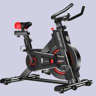 exercise bike category